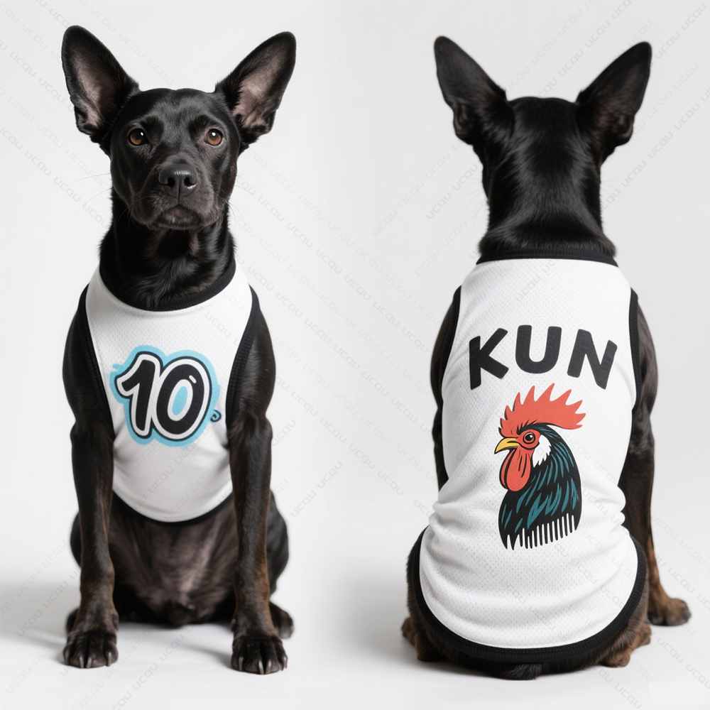 Odzież dla psa 2025 Love Kun S – Summer 2025 Clothing Essentials recenzja i cena